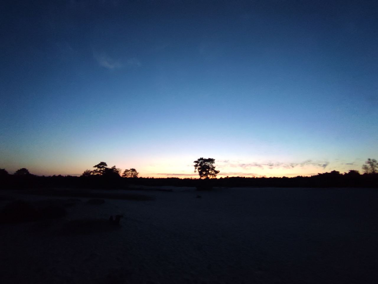 img01